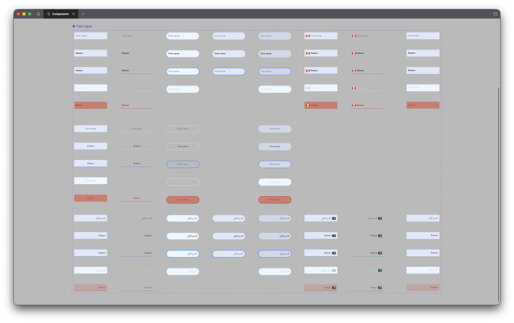 Text input components showing all states across light and dark modes, including RTL Arabic variants for global markets